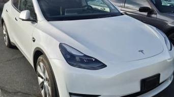 TESLA MODEL Y 2023 7SAYGDEE3PF815186 image